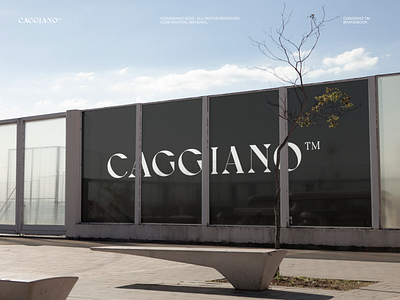 Julio Caggiano - Branding Designer and Communication Analyst art brand design brand logo branding design graphic design julio caggiano logo ui