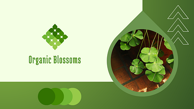 Organic Blossoms Logo Design branding design graphic design green illustration logo logo design organic