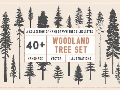 Woodland Tree Set | Illustrations