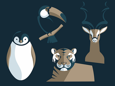 Noah's Ark Animal Graphics design graphic design illustration vector