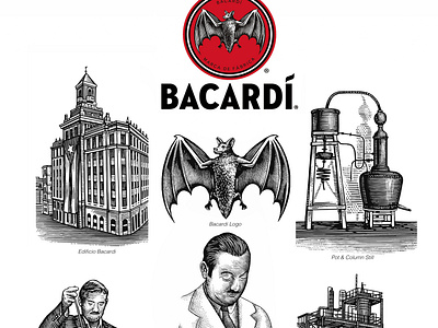Bacardi Custom Illustrations by Steven Noble artwork branding brandmark design engraving etching illustration line art logo scratchboard steven noble