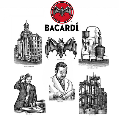 Bacardi Custom Illustrations by Steven Noble artwork branding brandmark design engraving etching illustration line art logo scratchboard steven noble