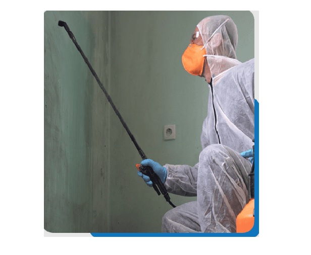 Commercial Mold Remediation Atlanta by John Allen on Dribbble