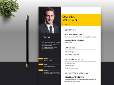 Professional & Modern Curriculum Vitae template 10k [Craftyart] biodatapersonalinformation craftyart curriculumvitae cv design desktop graphicdesign illustration interview job minimalresume pemplatecard portfolio post professionalresume resume resumetemplate uidesign uiux webdesigning