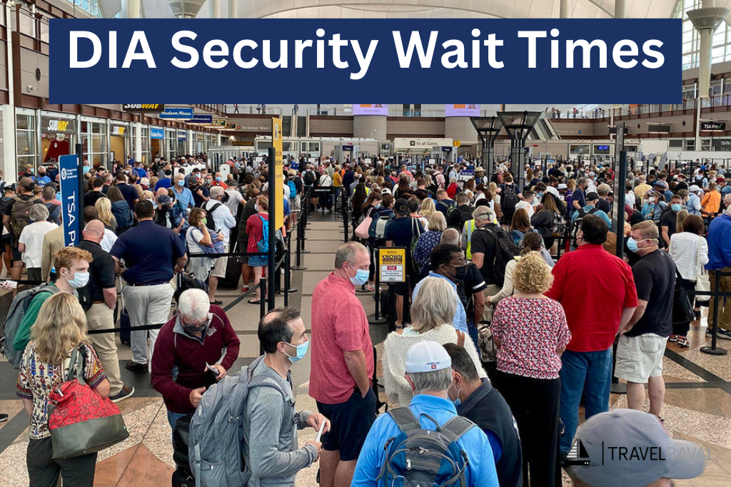 dia security wait times tss