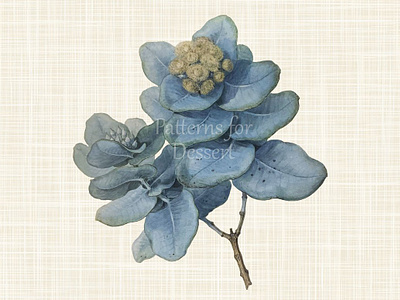 Vintage hydrangea flowers botanical design in light blue and yellow - Vintage  Flowers - Sticker