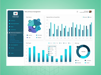 Dashboard for Risk and Issue Management ui