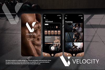 VELOCITY GYM- animation branding design graphic design illustration logo typography ui ux vector