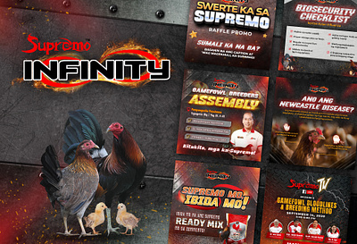 Supremo Infinity - Social Media agriculture digital marketing graphic design poultry social media social media management