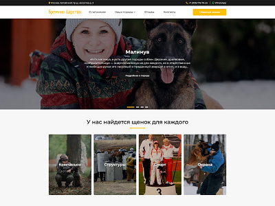 Welcome Banner | Kingdom-malinois banner button design dog dogs header kennel location menu phone shelter site ui ux web web design web development whatsapp white yellow