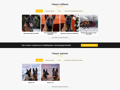 Dogs List | Kingdom-malinois button buttons callback design dog dogs filter filters kennel list shelter site title ui ux web web design web development white yellow