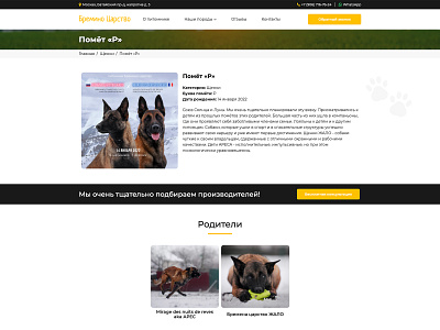 Dog Page | Kingdom-malinois button callback design dog dogs header kennel menu parent parents photo shelter site ui ux web web design web development white yellow