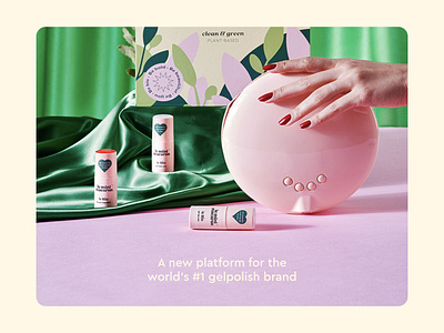 Le Mini Macaron branding design graphic design visual identity website