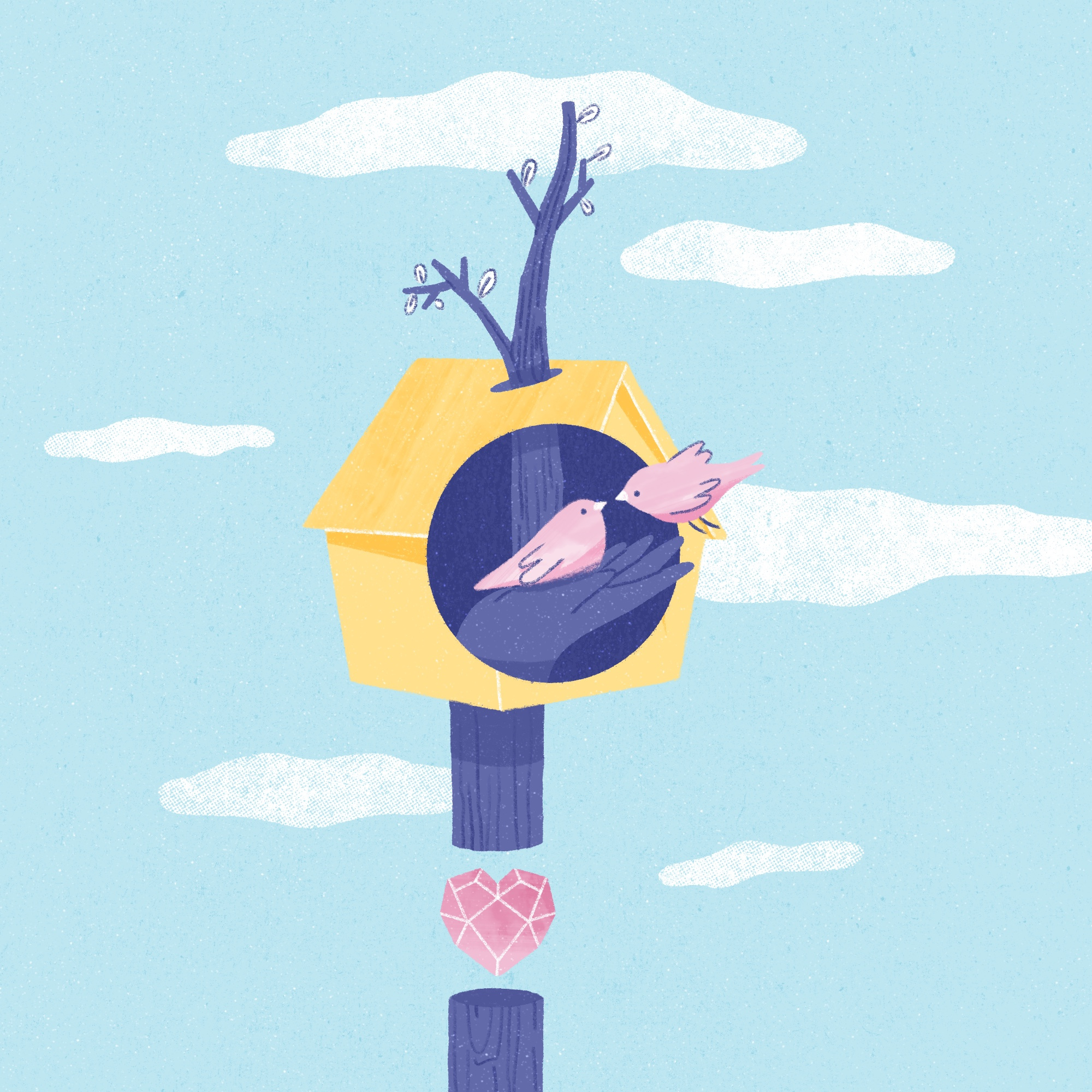 Home birds collage colors design drawing illustration nest