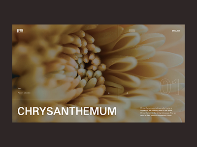 FLWR.Chrysanthemum carousel composition design design challenge flowers gallery menu slider typography ui web webdesign website