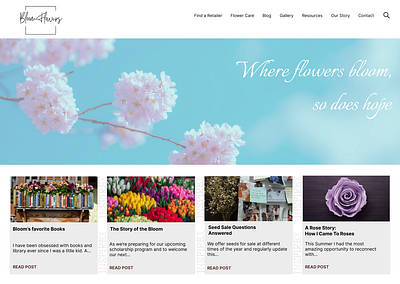 Blog for Bloom Flowers 🌸 design