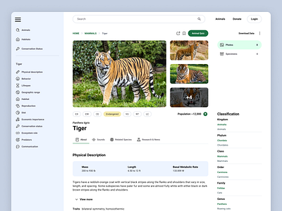 Animal Encyclopedia education encyclopedia google material material design responsive tiger ui ux website