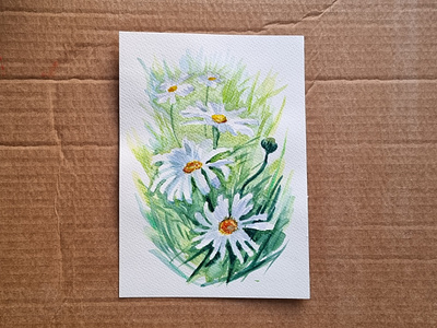 🟡 chamomile art chamomile grass green hand drawn illustration sun watercolor
