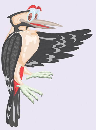 Woodpecker design graphic design illustration