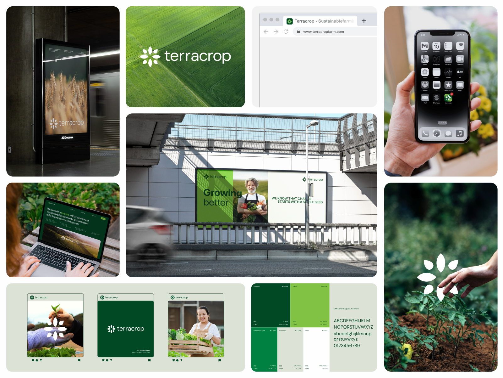 Example of Brand Identity Package
