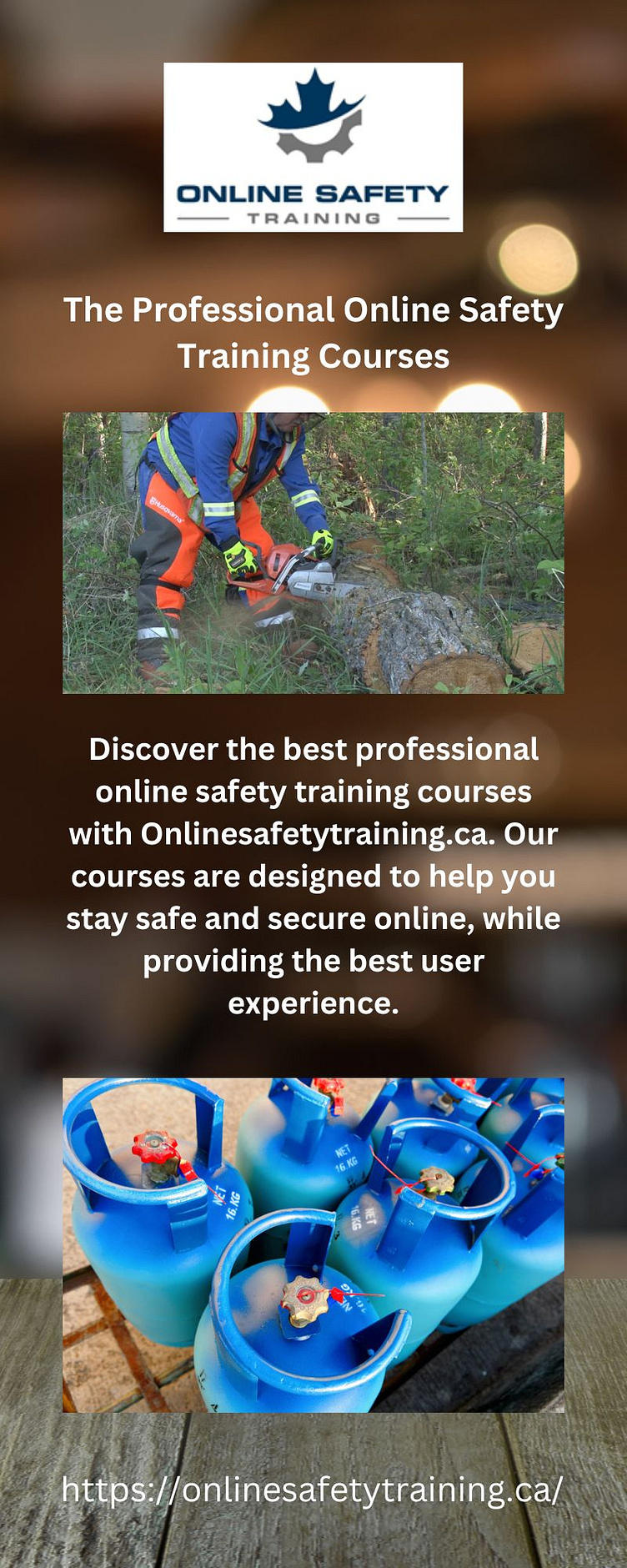 The Professional Online Safety Training Courses by Online Safety