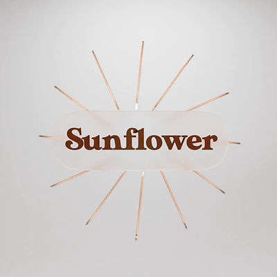 Type Exploration #02 Animated 3d animation b3d blender font glass illustration motion render sunflower type