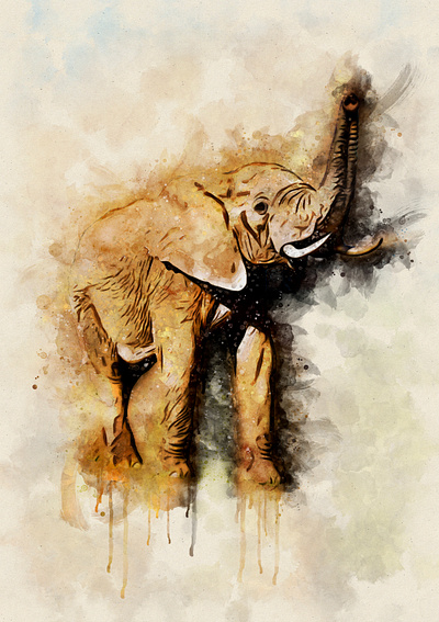 Elephant portrait animal design elephant illustration nature watercolor