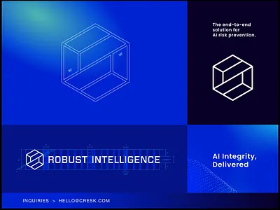 Robust Intelligence - Brand Identity Design app brand design brand guidelines brand identity system brand mark branding design graphic design icon identity designer identity system logo logo design logo design process logo designer logo guidelines logo stylesheet modern logo symbol visual identity design