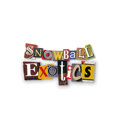 SnowBall Exotics Logo branding design exotics graphic design logo typography vector