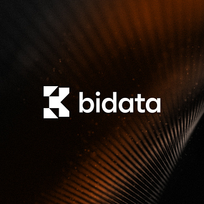 Bidata brand identity branding data logo design letter b logo letterb logo monogram logo vector