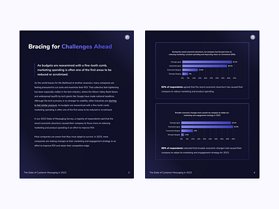 2023 State of Messaging Survey ebook onesignal report reporting