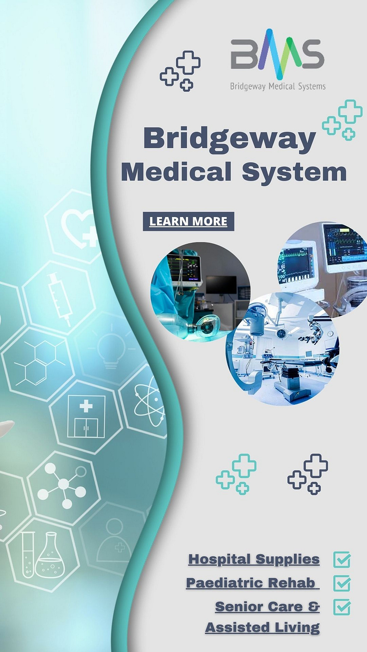 Bridgeway Medical System Empowering Accessible Medical Solution by