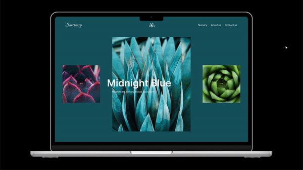 Rotating animation with succulents animation figma figma prototype ui ui design