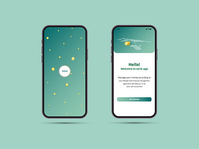 Zarik financial management application appdesign art branding design designer graphic design illustration illustrator ui ux uxdesign vector