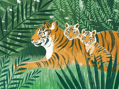 Zoo Animals animals conservations digital folioart illustration nature sam kalda tiger zoo