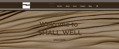 Brown Themed Web Design 3d branding design graphic design logo motion graphics ui website design