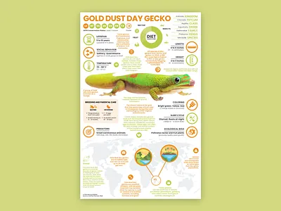 Gold Dust Day Gecko Poster animal art animal infographic animal poster education gecko gecko poster