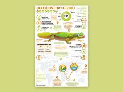 Gold Dust Day Gecko Poster animal art animal infographic animal poster education gecko gecko poster