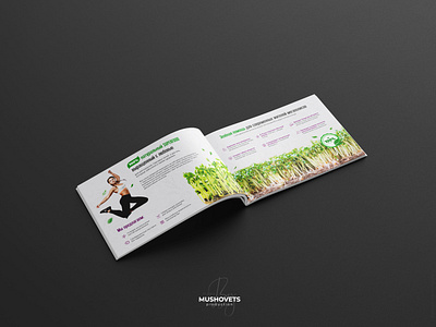 Commercial offer for the supplier of micro-greenery branding design graphic design offer маркетинг кит презентация