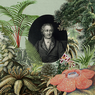 Goethe Looks Out on the Forest collage collage art design digital art digital collage forest graphic design illustration nature photoshop vintage