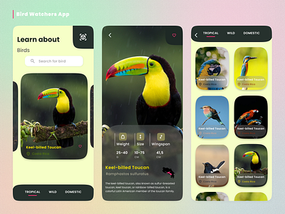 An app for Bird Watchers (Credits - MQoS UI/UX) animals backgrounds birds cards designs illustration ios mobile pets ui ux