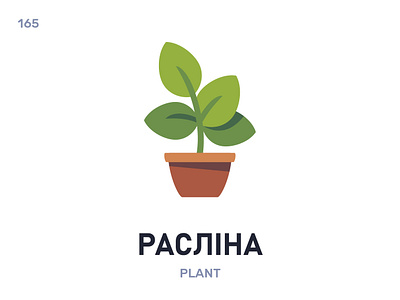 Раслíна / Plant belarus belarusian language daily flat icon illustration vector