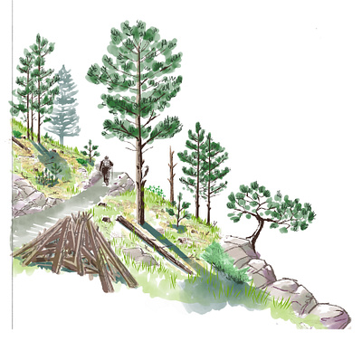 Forest Health Illustration - Lower Montane digital environmental forest health hiking trails illustration mixed media nature illustration pencil ponderosa pine rocky mountains watercolor wildfire wood pile