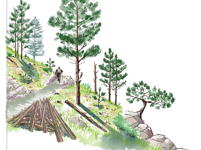 Forest Health Illustration - Lower Montane digital environmental forest health hiking trails illustration mixed media nature illustration pencil ponderosa pine rocky mountains watercolor wildfire wood pile