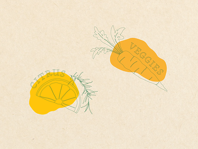 Citrus & Veggies adobe illustrator graphic design illustration typography