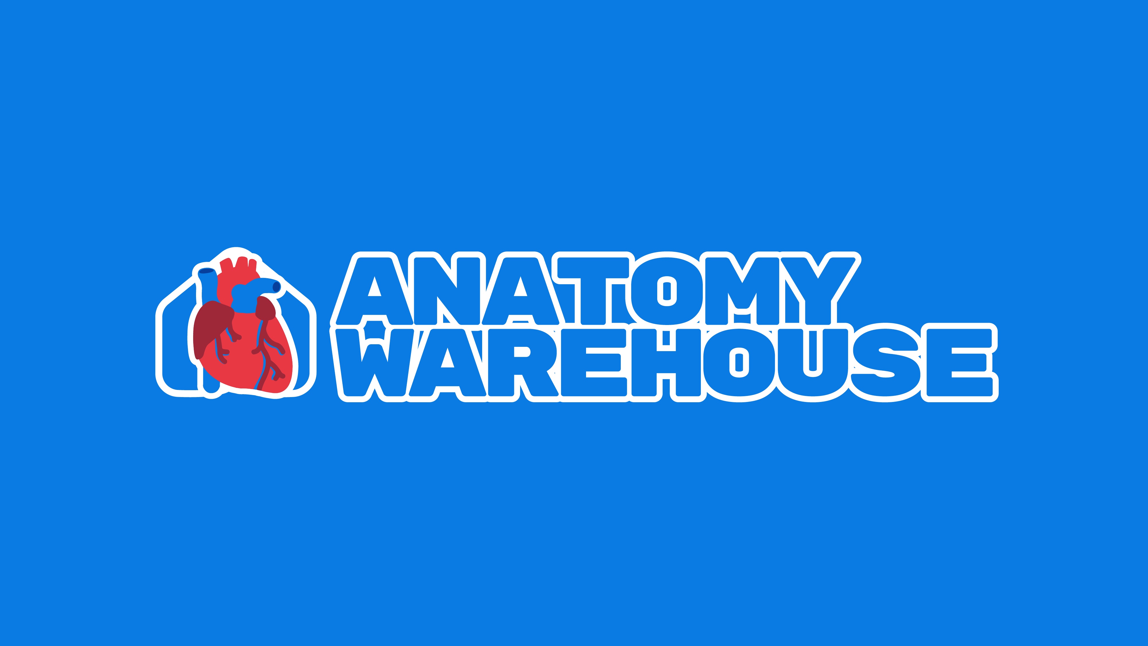 Anatomy Warehouse Visual Identity by Jesús Quintanilla on Dribbble