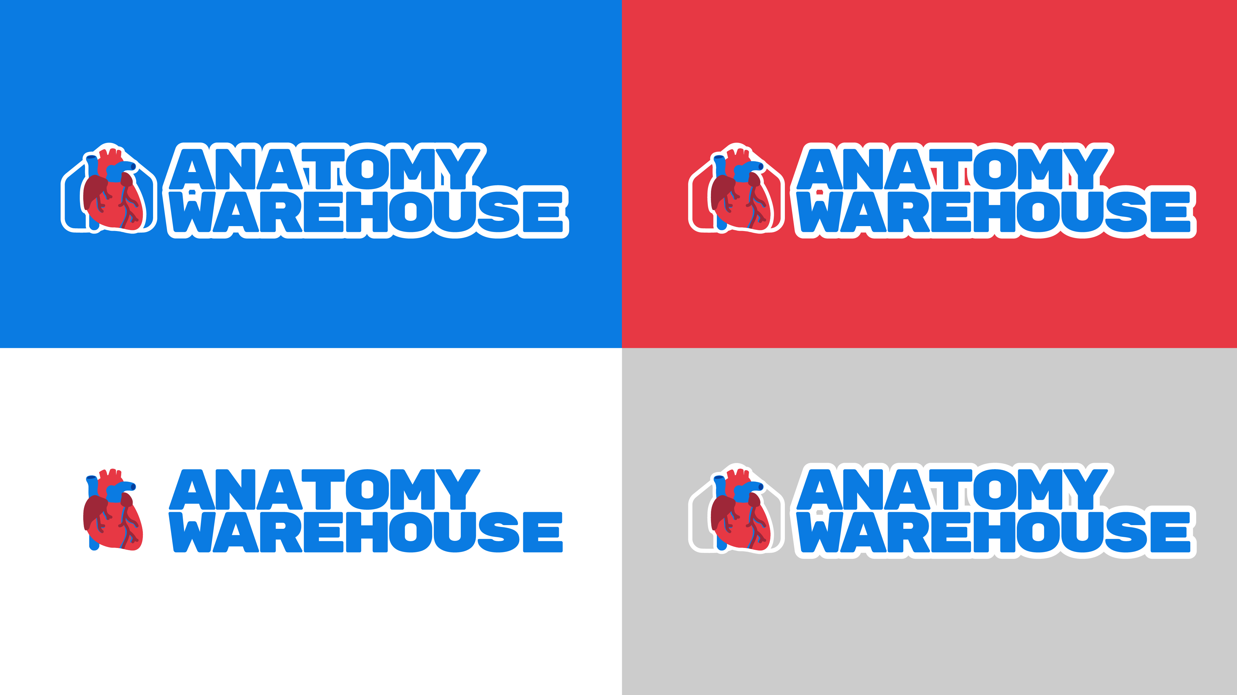 Anatomy Warehouse Visual Identity by Jesús Quintanilla on Dribbble