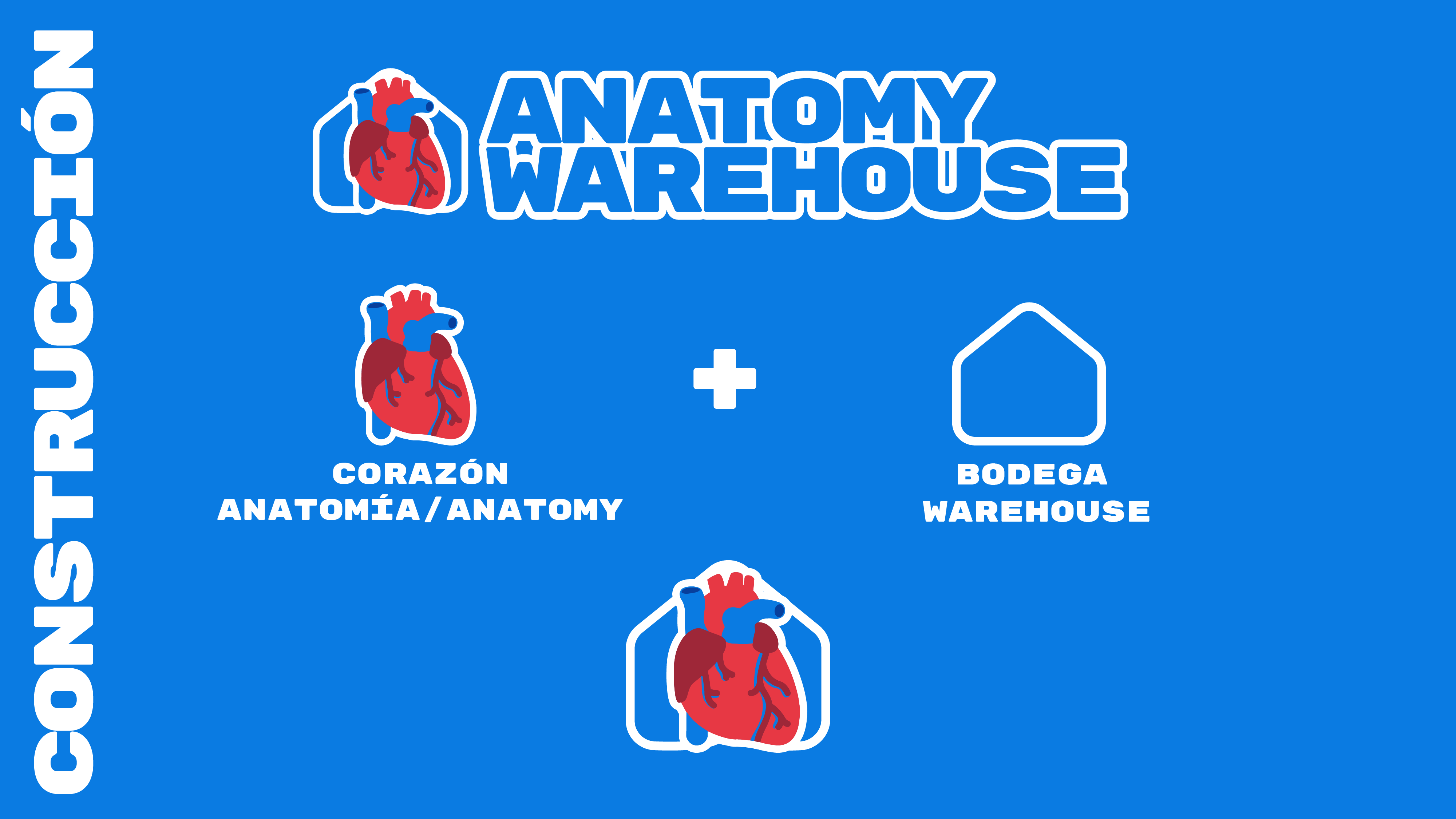 Anatomy Warehouse Visual Identity by Jesús Quintanilla on Dribbble