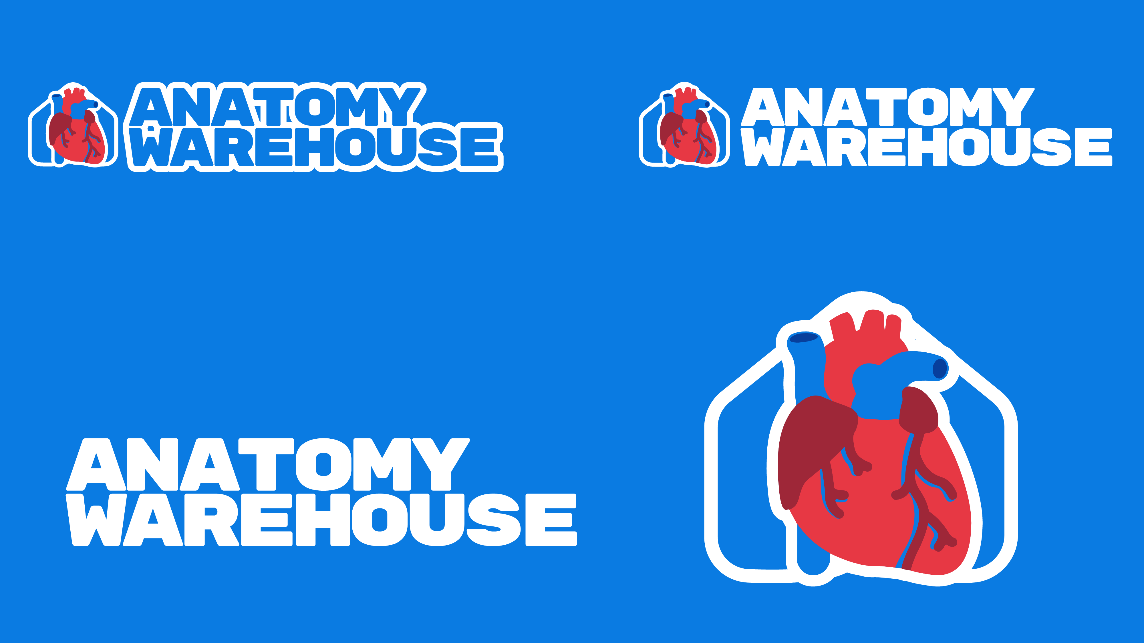 Anatomy Warehouse | Visual Identity by Jesús Quintanilla on Dribbble