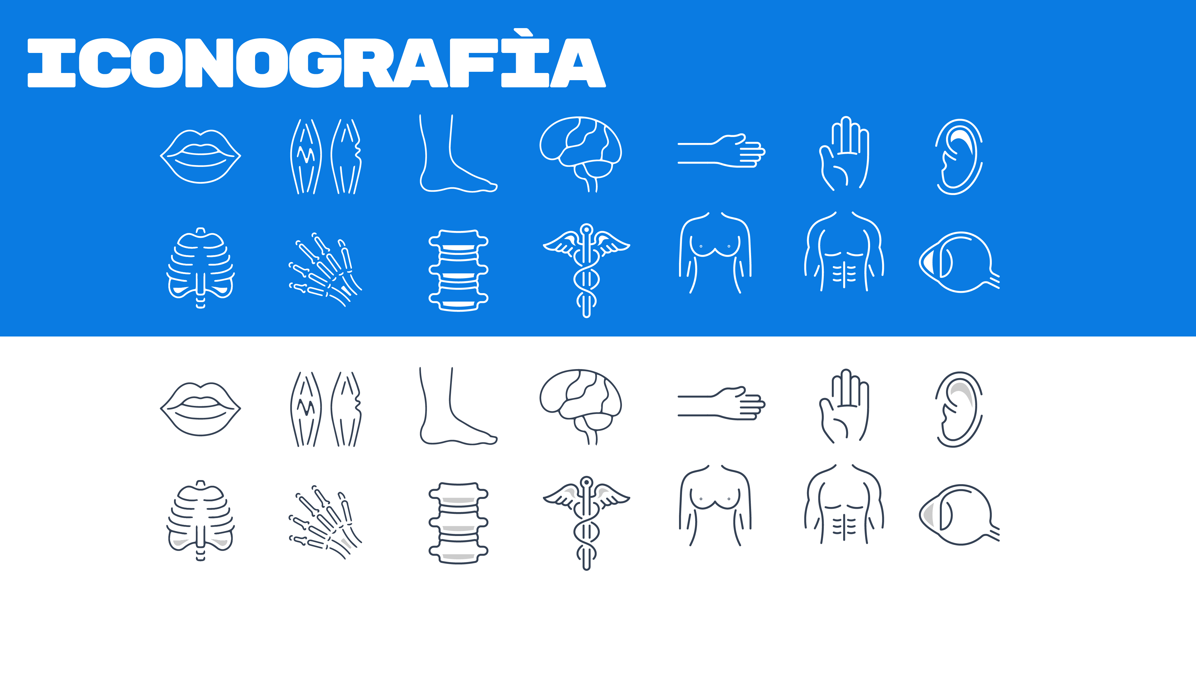 Anatomy Warehouse Visual Identity by Jesús Quintanilla on Dribbble